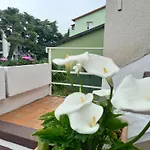 Apartamento Latice