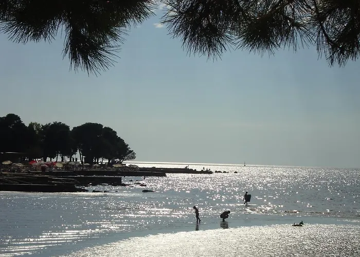 Latice Umag