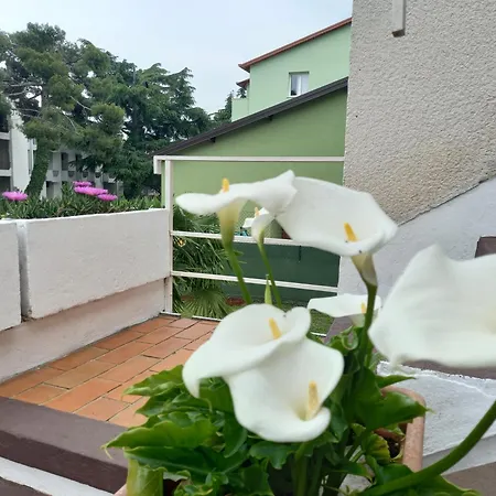 Apartament Dasen