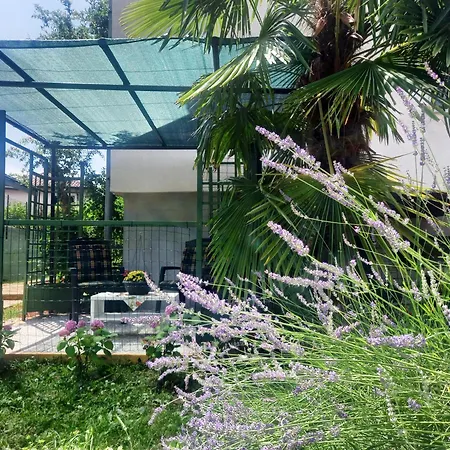 Apartament Dasen Umag