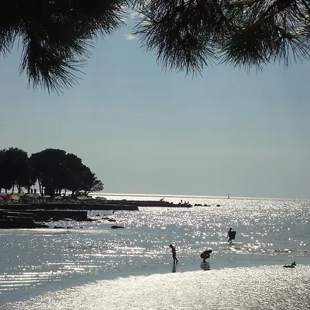 Dasen Umag